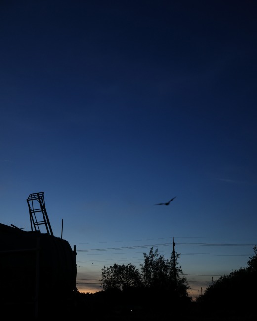 夕暮れ時の青い空